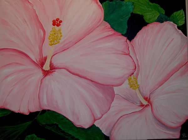 hibiscus
