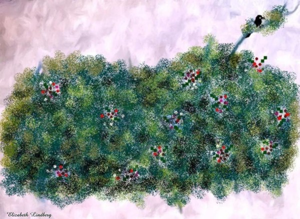Shrubbery