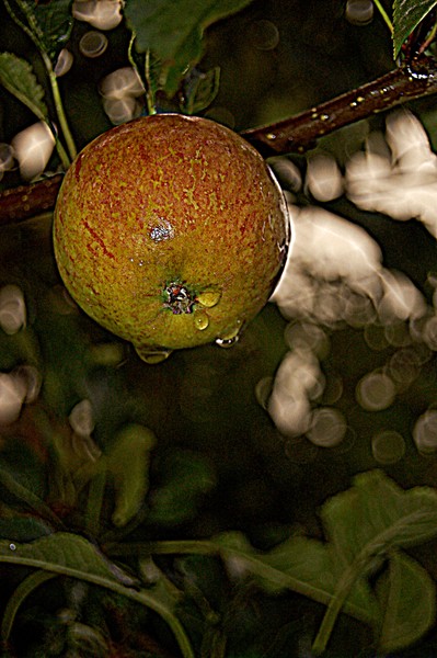 20110910 89