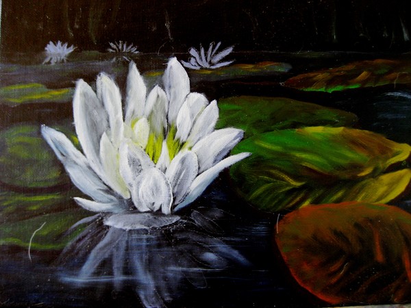 Lotus Blossom