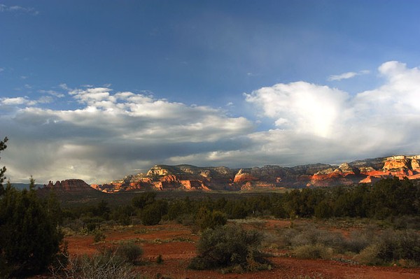 Desert Serenity