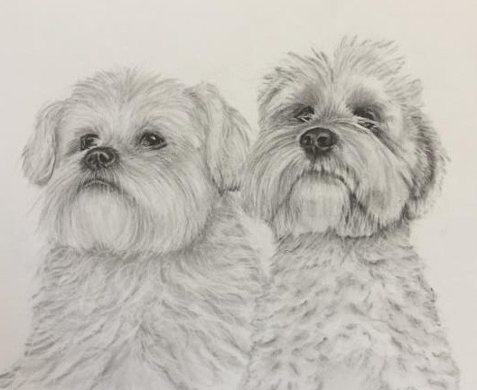Puppers