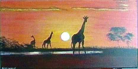 the waterhole