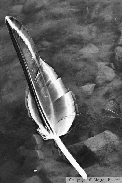 Light as a feather