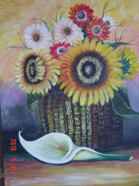 Sunflower Basket Canna lily