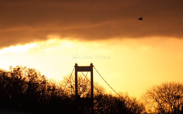 Warm Sky