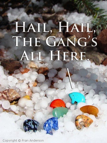 Hail Hail All Here
