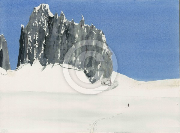 Skiier Juneau Icefield Alaska