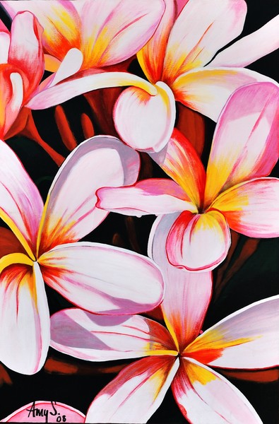 FRANGIPANI