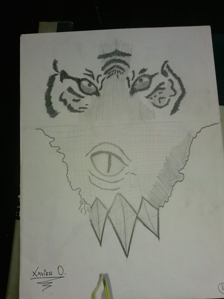 tiger eyes