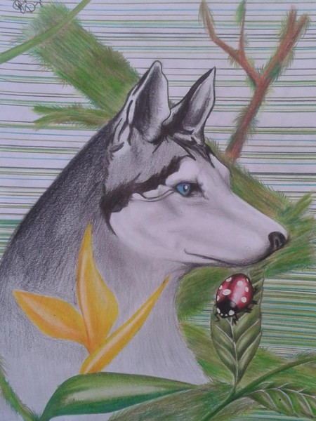 LUPOS