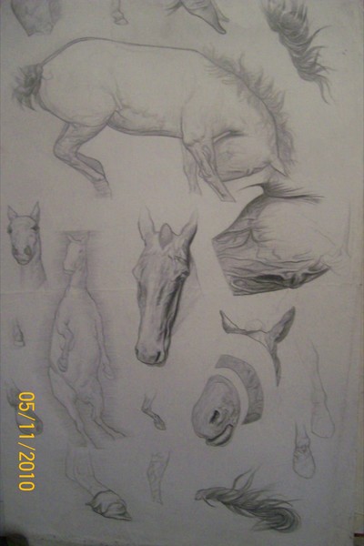Horses