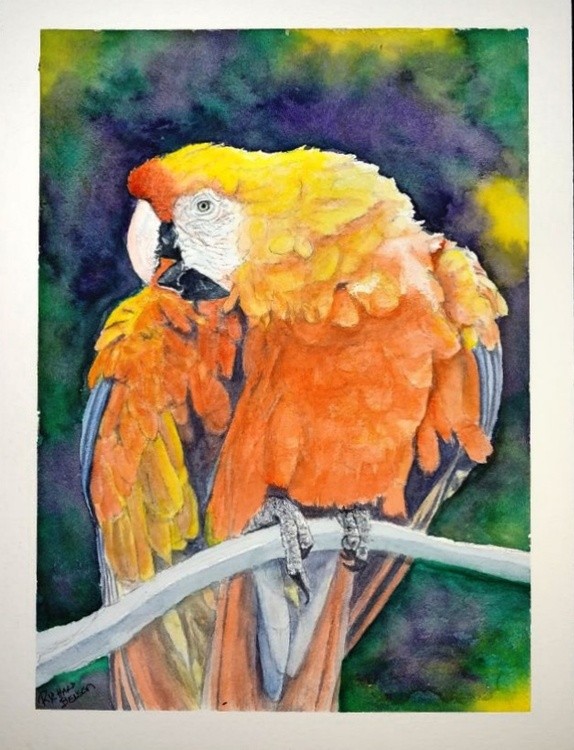 Parrot8