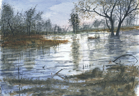 Wkra River