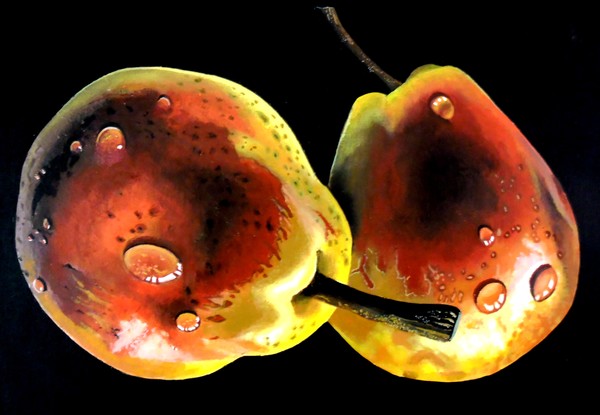 Pears