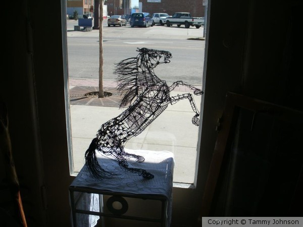 Stallion in wire