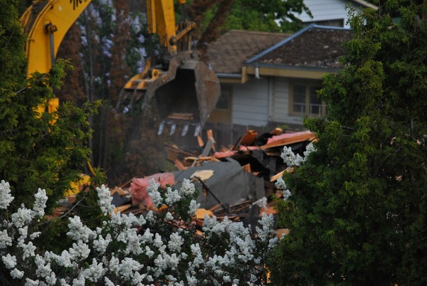 Demolition and Lilacs