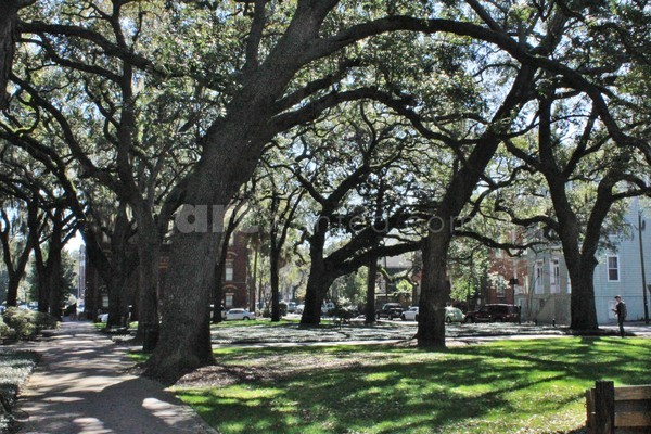 Square in Savannah