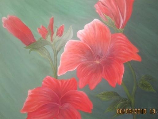Red hibiscus