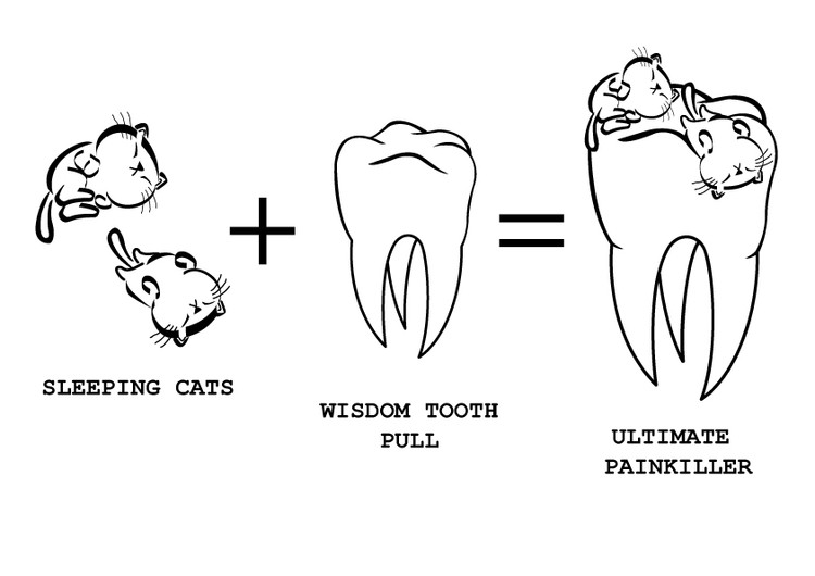 Dentist Illustration