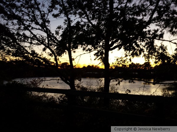 Sunset Eastham, MA