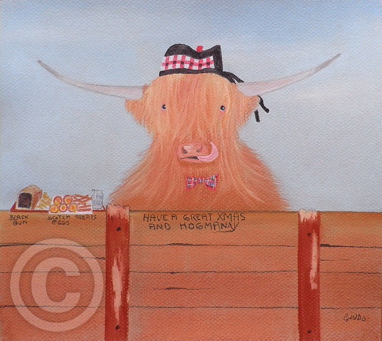THE HEILAND COO AT CHRISTMAS