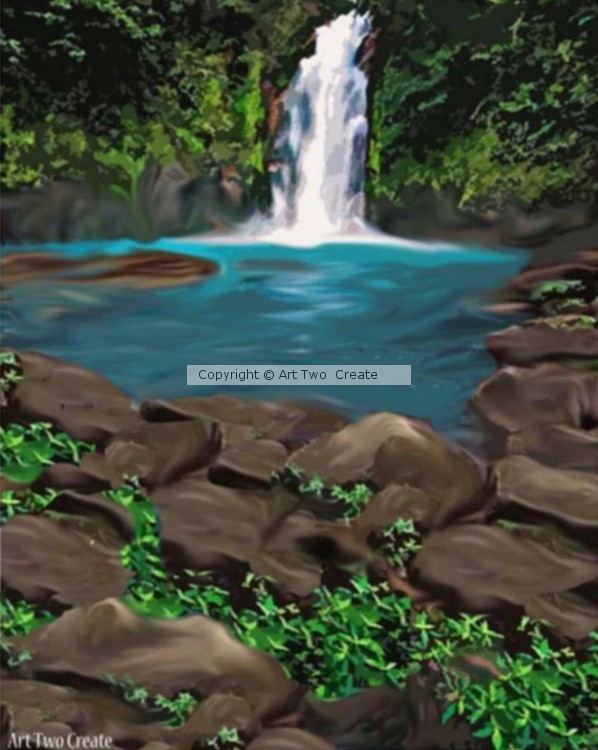 Rainforest.