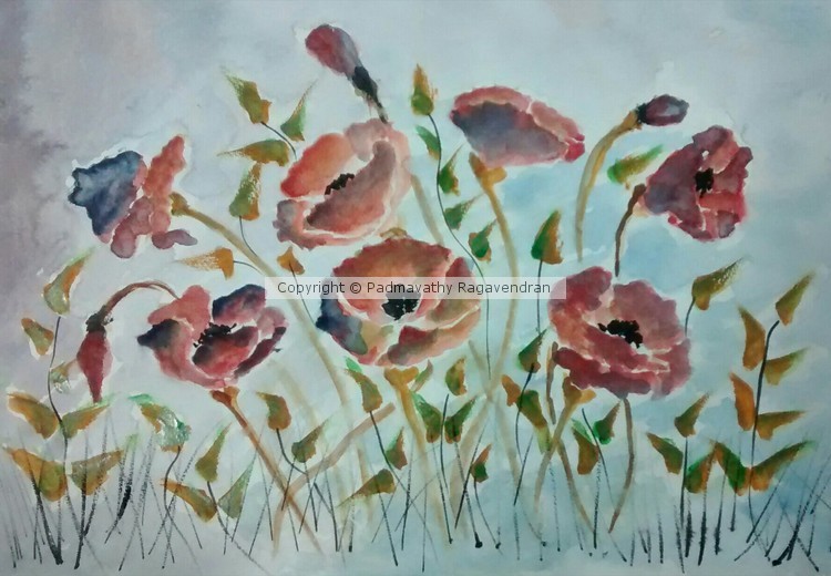 Poppies