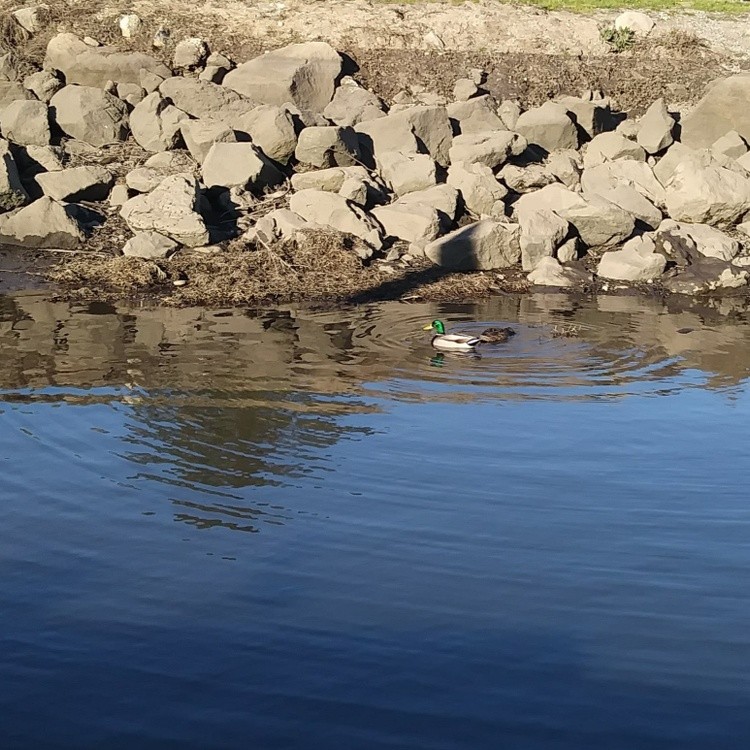 IMG 20221109 000636 897