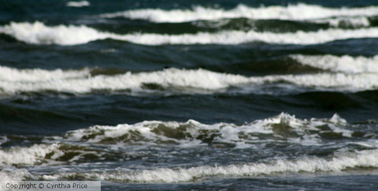 surf1