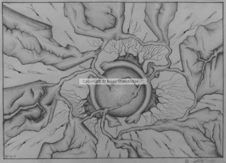 The Mind's Eye