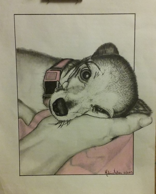 Dog in Hand