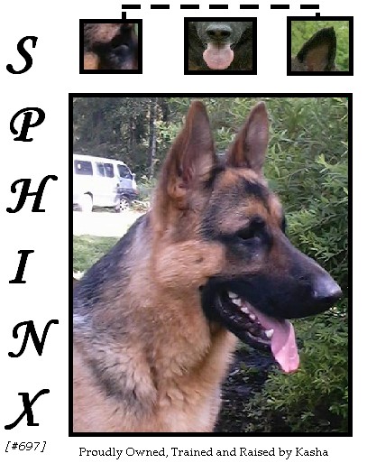 Sphinx