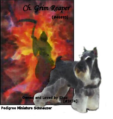Grim reaper