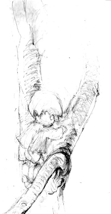 Kids Book Kid Peeking Sketch Revised