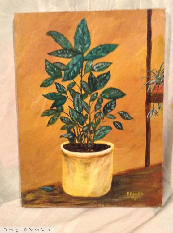 Potted Plant