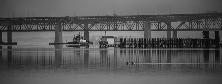 Winter Morning along the Strait - January 29 2026 1