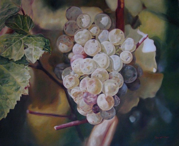 Wonderful grapes