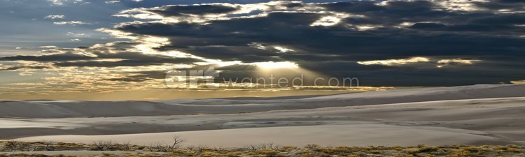 Dunes & Rays