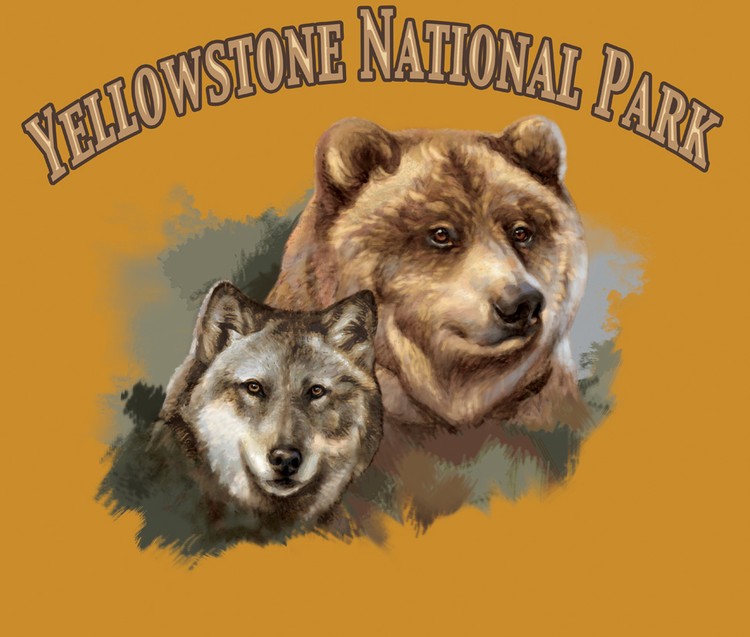 Yellowstone Wolf and Grizzly