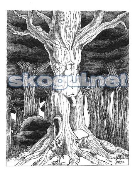 Male Dryad