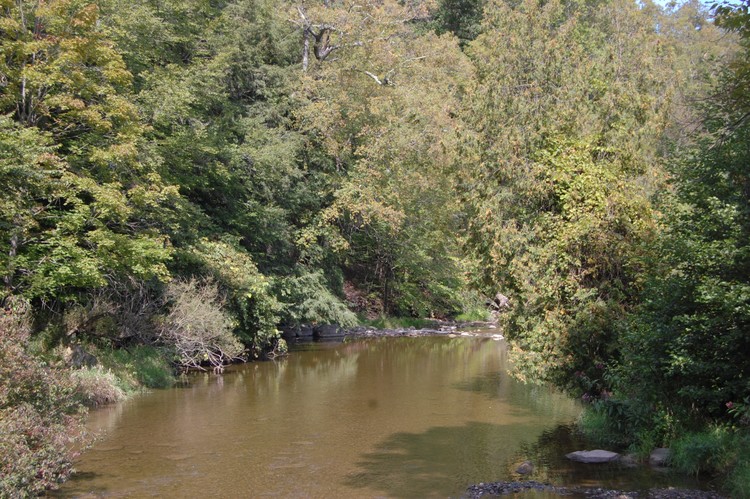 Creek