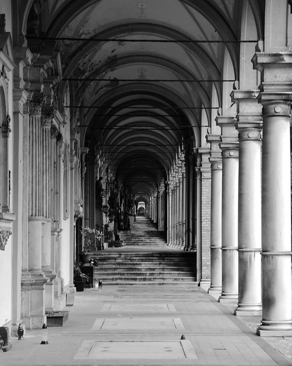 Lets talk of graves of worms and epitaphsphotography photographer eyeem eyeemphoto bw bwphotography 