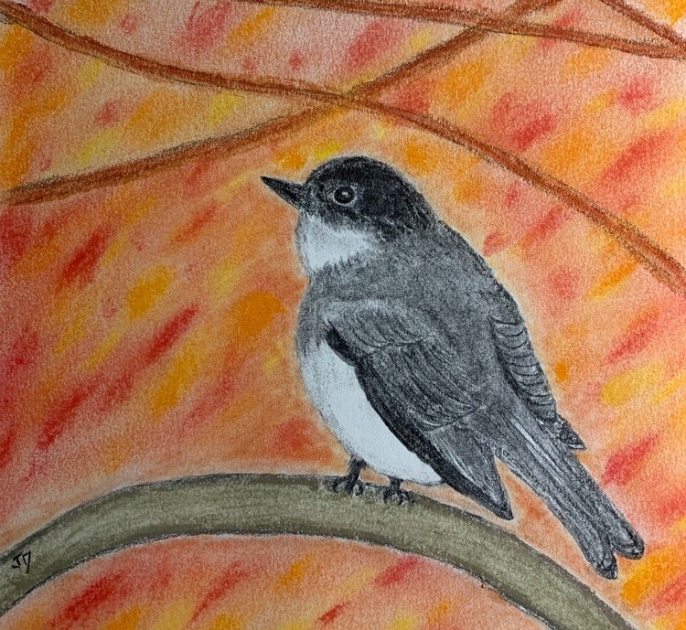 2021 Bird finished