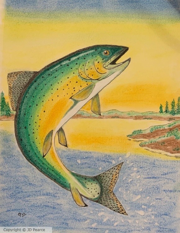 New Trout 22