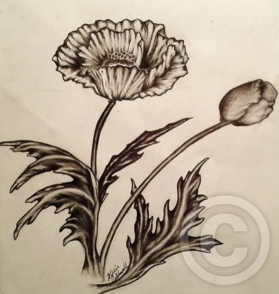 Poppy