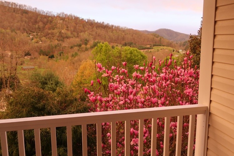 Out my front door 1