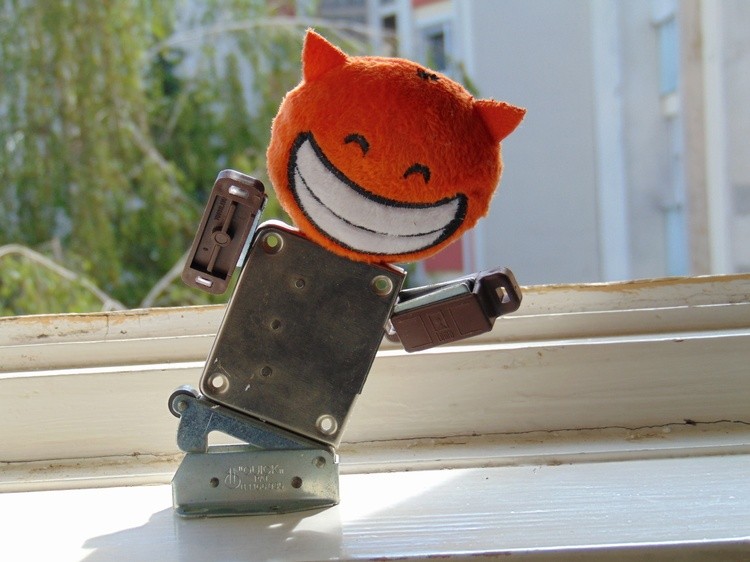  Cat Fritz rides a skateboard