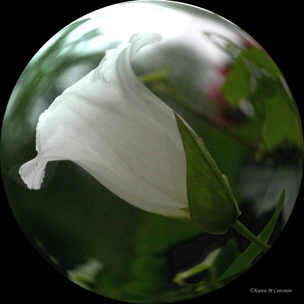 Crystal Ball