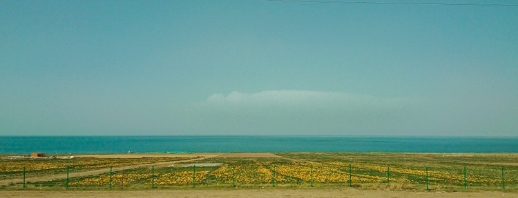 Qinghai Lake